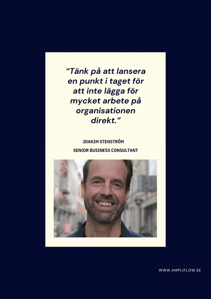 Advice from consultant Joakim Stenström on how to establish a certifiable management system