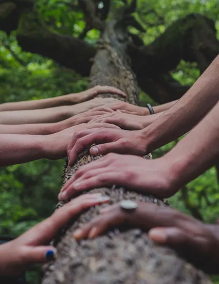 Team working together with a shared management system – collaboration and communication as a common language