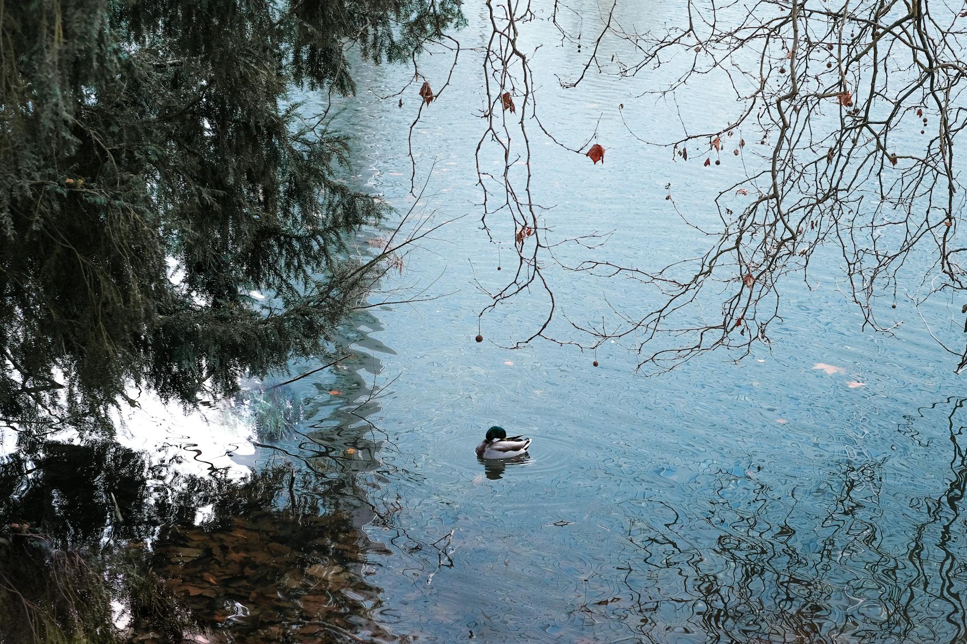 Deviation Management - A Step Towards Success