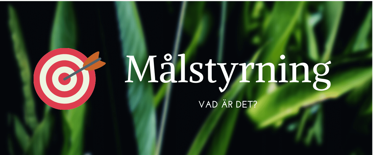 What are goals and goal management?