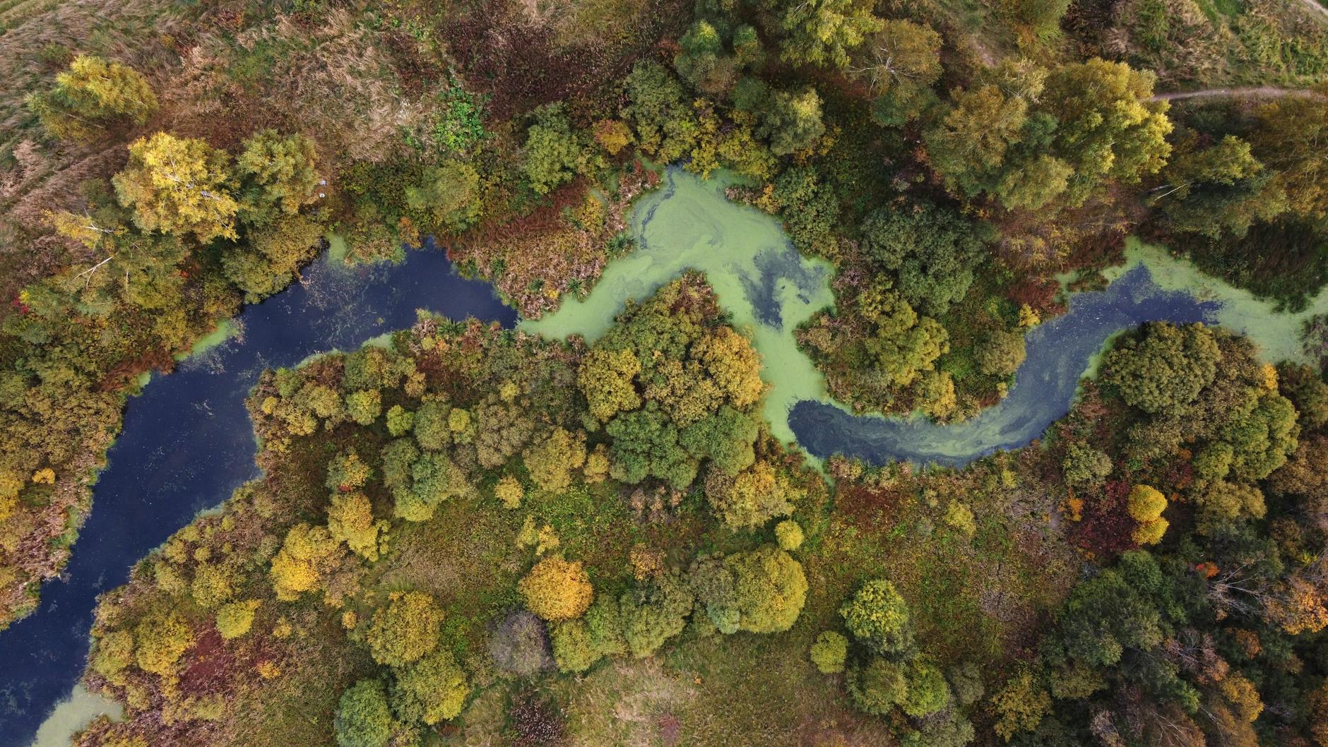 ISO 14001:2026 and Biodiversity - How to Strengthen Your Environmental Work