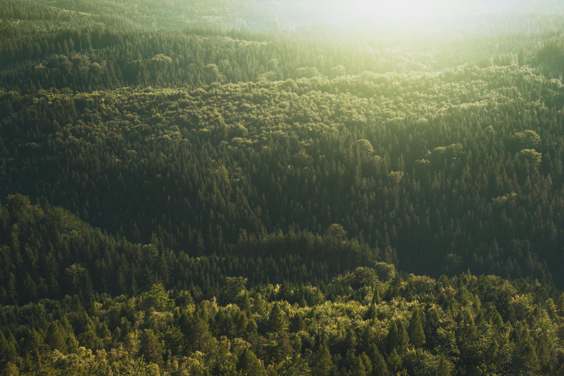 Climate Requirements in Management Systems - What Applies Now and in 2026?